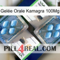 Gelée Orale Kamagra 100Mg viagra5